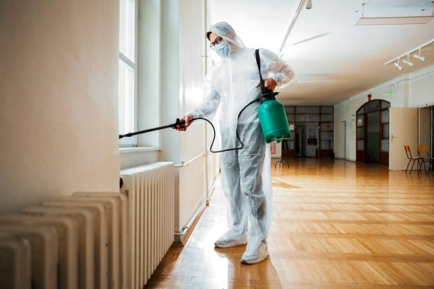 Best Commercial Pest Control Services  in Rio Rico, AZ